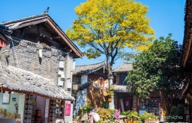 自驾游需要准备什么？