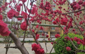 姓名可以惊艳到什么程度？