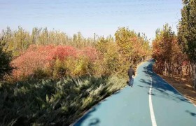 今年在石家庄正定新区买房合适吗13500单价，毛坯。未来发展前景怎么样？同价位还有更好的选择吗？