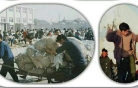 七十年代，八十年代，你都有哪些难忘的事情？