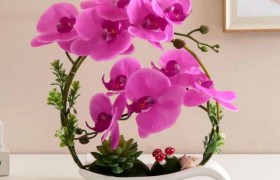 国家实行三孩生育政策，你会让其中一个孩子随母姓吗？