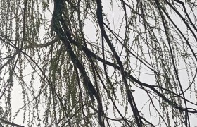 连云港有哪些名人和名事？