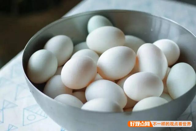 为什么都提倡吃鸡蛋，而不是鸭蛋？鸭蛋难道真的比鸡蛋差很多吗？插图10