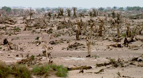 如果塔克拉玛干沙漠每年的平均降雨量再增加3000毫米，10年后会是怎样的景象？插图4