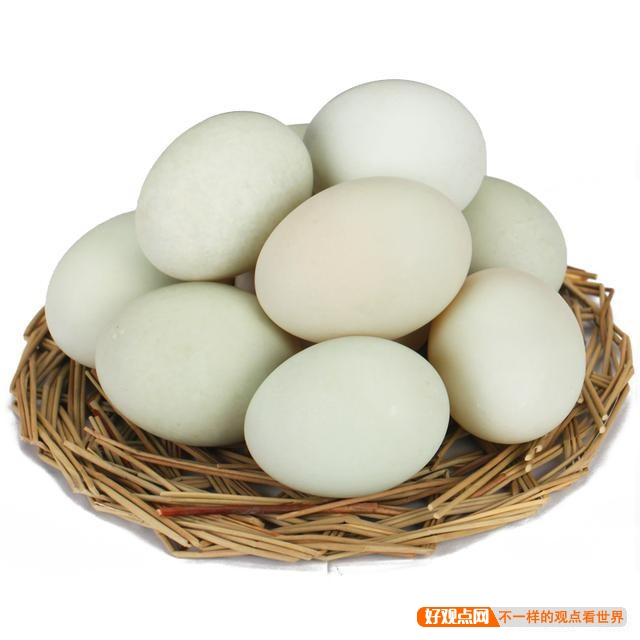 为什么都提倡吃鸡蛋，而不是鸭蛋？鸭蛋难道真的比鸡蛋差很多吗？插图23