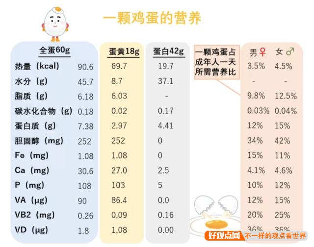 为什么都提倡吃鸡蛋，而不是鸭蛋？鸭蛋难道真的比鸡蛋差很多吗？插图2