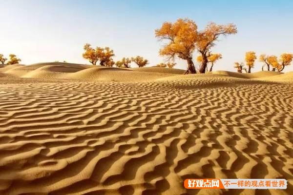 如果塔克拉玛干沙漠每年的平均降雨量再增加3000毫米，10年后会是怎样的景象？插图43