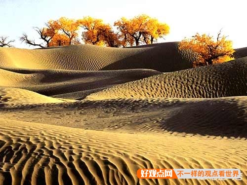 如果塔克拉玛干沙漠每年的平均降雨量再增加3000毫米，10年后会是怎样的景象？插图42