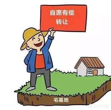 农村什么生意来钱快，来钱多？插图17