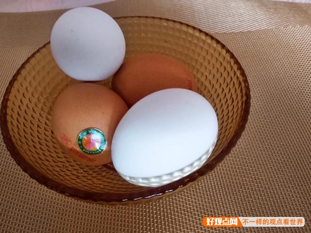 为什么都提倡吃鸡蛋，而不是鸭蛋？鸭蛋难道真的比鸡蛋差很多吗？插图18