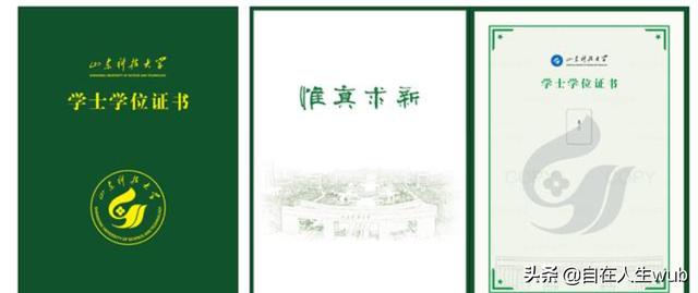 如何评价山东科技大学？插图32