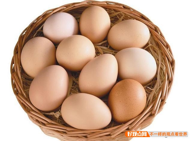 为什么都提倡吃鸡蛋，而不是鸭蛋？鸭蛋难道真的比鸡蛋差很多吗？插图22