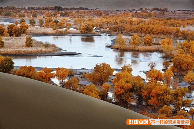 如果塔克拉玛干沙漠每年的平均降雨量再增加3000毫米，10年后会是怎样的景象？插图44