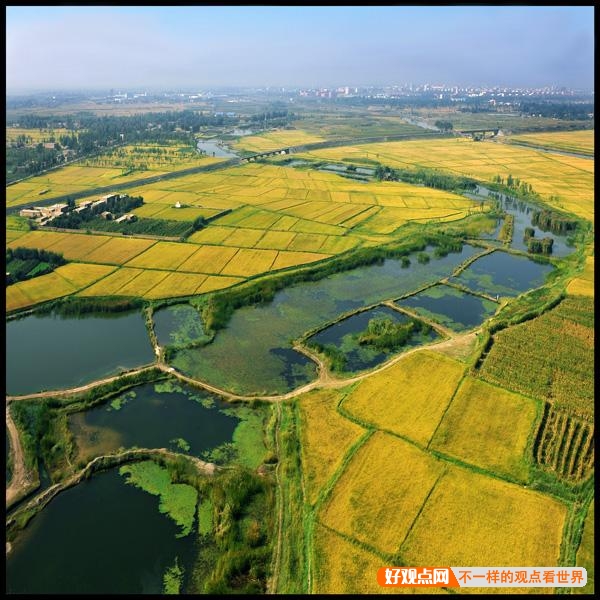 如果塔克拉玛干沙漠每年的平均降雨量再增加3000毫米，10年后会是怎样的景象？插图6